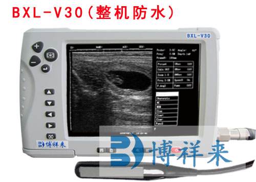 牛用B超机观察卵巢同期发情