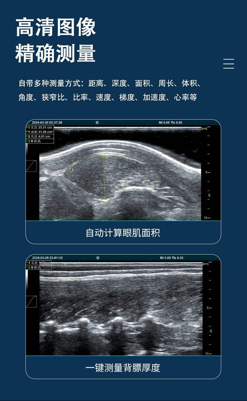 BXL-DB20-背标眼肌详情页_03.jpg