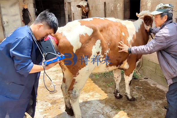 22.08.24云南昆明v50 图片 (3).png