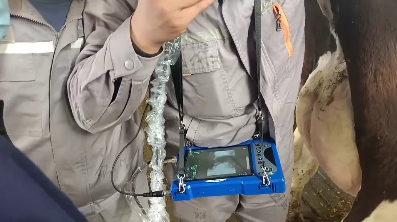 2025.04 银川石嘴山v60测牛 (1).png