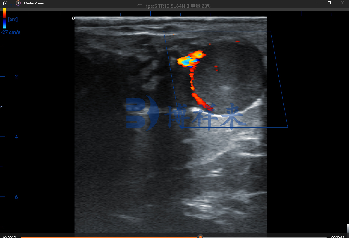 s300 牛黄体多普勒2.jpg