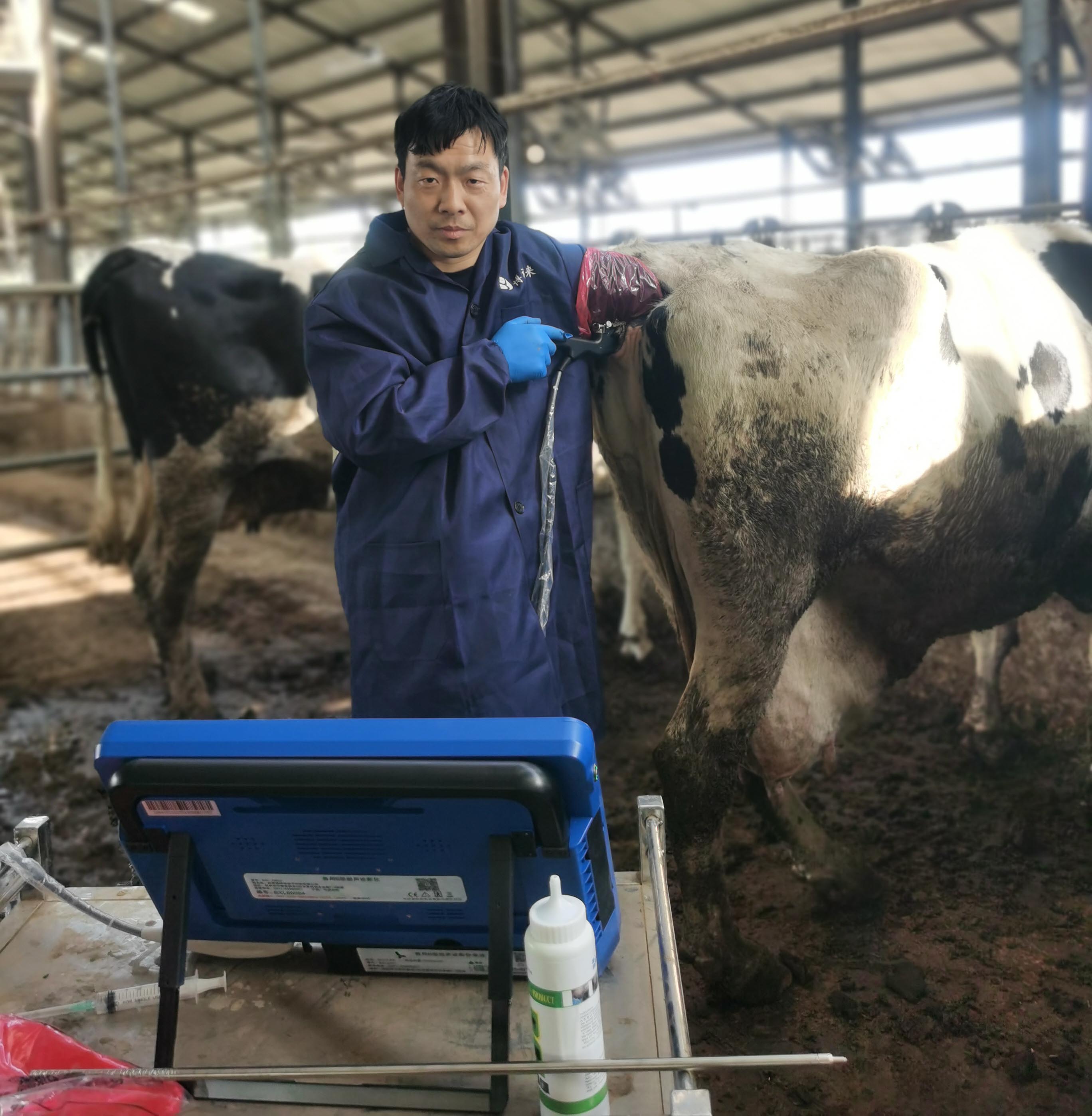 2024.10.21 BXL-DB20活体采卵 (1).jpg