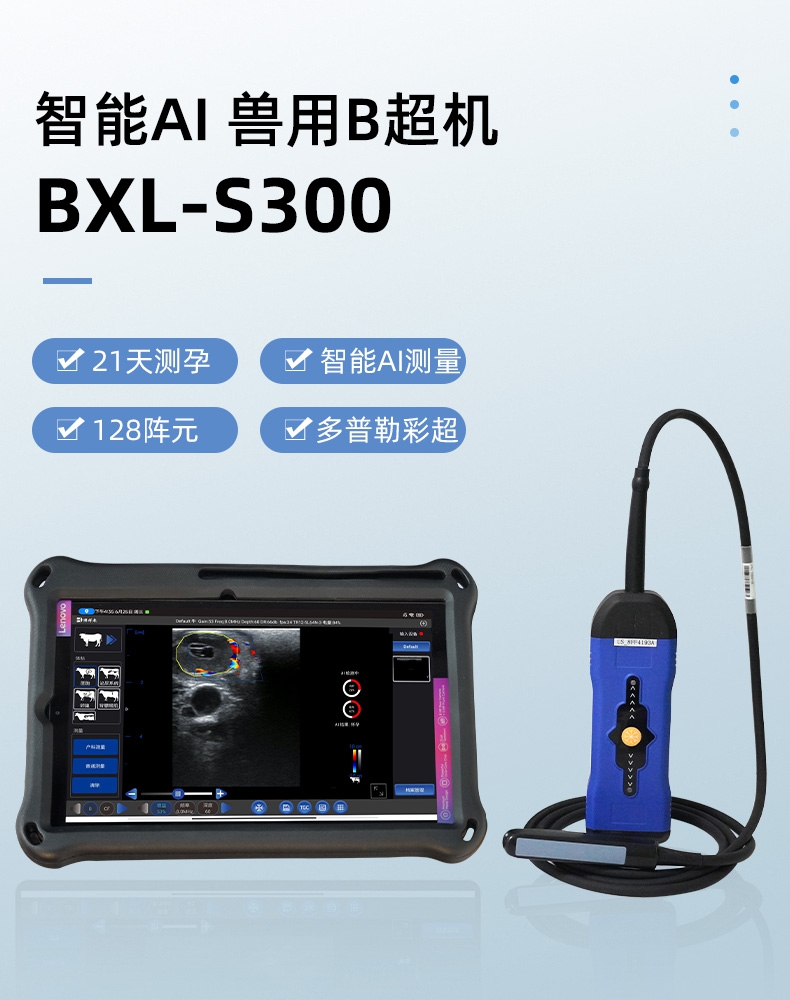 BXL-S300详情图_01.jpg