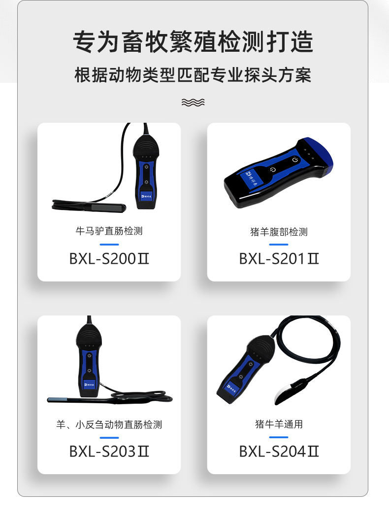 BXL-S200Ⅱ详情页_02.jpg