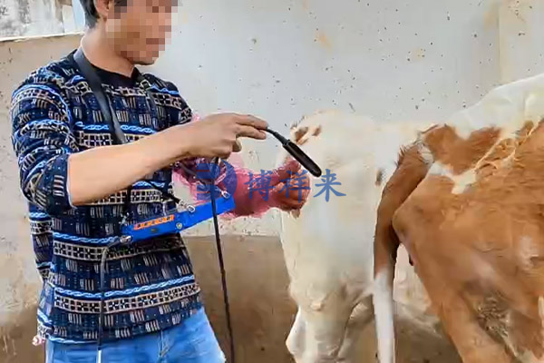 便携式牛用B超测孕仪